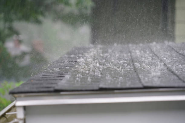 Best Roof Ventilation Installation  in North Puyallup, WA